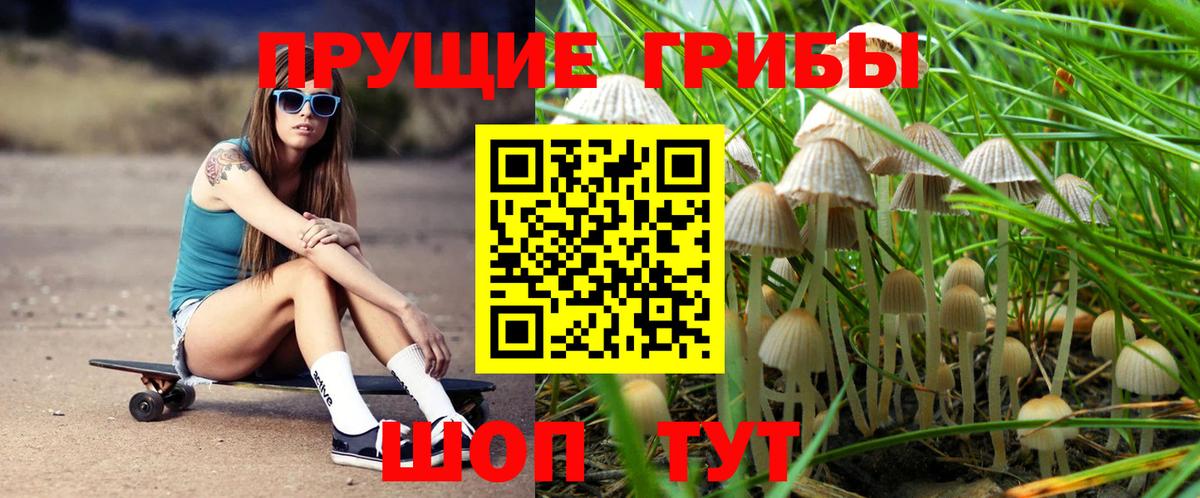 Галлюциногенные грибы прущие грибы Реж